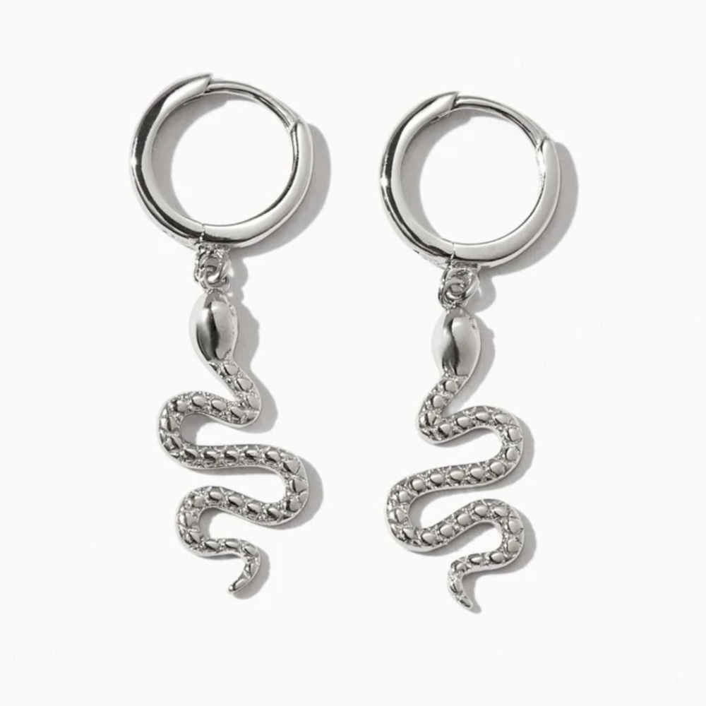 Snake earrings 🐍🐍